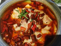 -小吊梨汤·北京菜·烤鸭(鸟巢店)