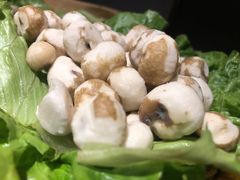 -凤园椰珍·臻品椰子鸡(保利时光里店)