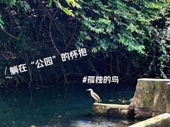 -荔枝公园(福田区)