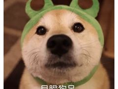 -UME影城宁波镇海店(万科广场中国巨幕店)