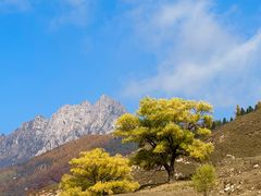 -芦芽山旅游度假区