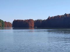 -上海海湾国家森林公园