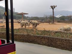 -杭州野生动物世界
