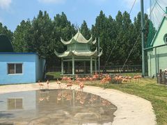-秦皇岛野生动物园