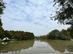 -上海海湾国家森林公园