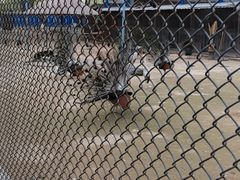 -森林公园(尖草坪区)