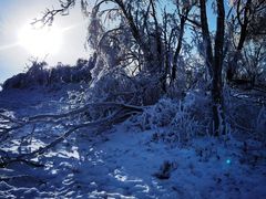 -中旅松花湖滑雪场