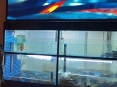 -潮中人·潮州菜(益乐路店)