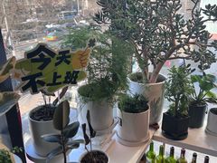 -懒人盐府人家(航天桥店)