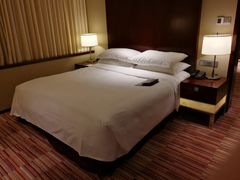 -上海龙之梦万丽酒店