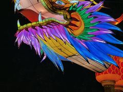 -观澜湖生态运动公社