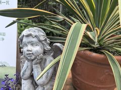 -Jo's Garden