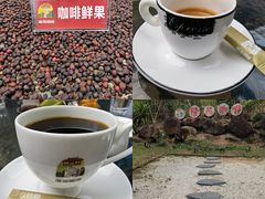 -兴隆隆苑咖啡庄园