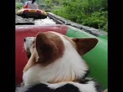 -天目湖松岭竹海漂流