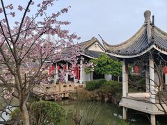 -无锡梅园公园