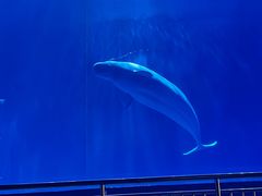 -多彩贵州城极地海洋世界