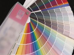 -立邦(益宝装饰城专卖店)