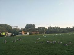 -银树楼(紫玉山庄东区店)