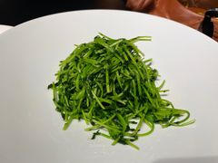酒香豆苗-RIVIERA 松鹤楼(外滩店)