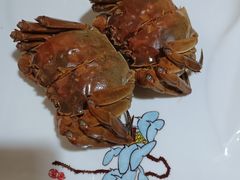 -呼吸森林·生态农庄农家乐私房菜