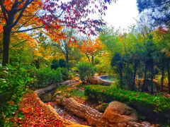 -汤泊温泉度假村