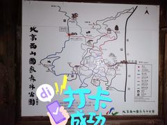 -鬼笑石后山停车场