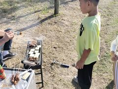 -春花秋色城市公园