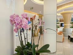-皓齿连锁·雅贝健口腔·种植·矫正中心(虹口曲阳路店)