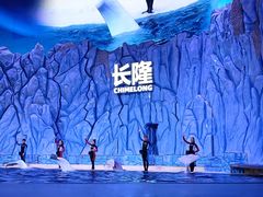 -珠海长隆海洋王国