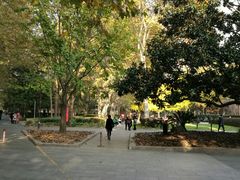 -徐家汇源景区-衡山公园