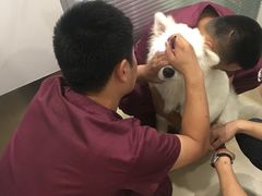 -美迦爱-牙专科·兔科·骨科诊疗中心(北苑店)