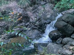 -大奇山国家森林公园
