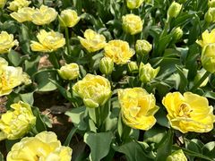 -玄武湖景区-情侣园游乐场