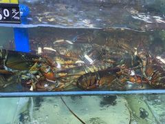 -蟹老板的海鲜