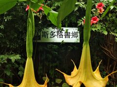 -斯多格书乡(北京大学畅春园店)