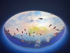 -欢乐海岸海洋奇梦馆