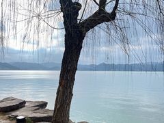 -东钱湖旅游度假区