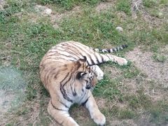 -西安秦岭野生动物园