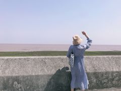 -南汇嘴观海公园