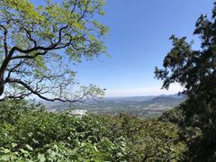-北京鹫峰国家森林公园