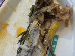 -青青河边草·小小河边鱼(万达广场太仓店)