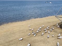 -青海湖二郎剑景区