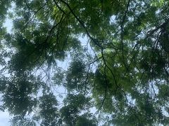 -南翠屏公园