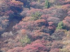 -水峪民俗村