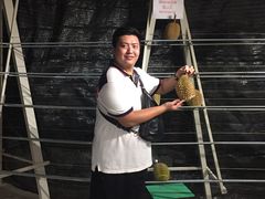 -都念榴莲·城市榴莲