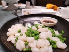 清炒野生河虾仁-小厨娘淮扬菜(板桥一店)