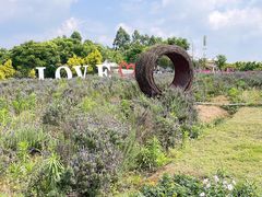 -紫颐香薰山谷景区