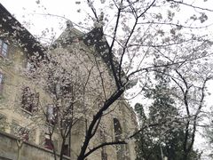 -武汉大学-樱园