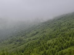 -三道菜(明堂公园店)