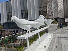 -深圳湾万象城(南山店)